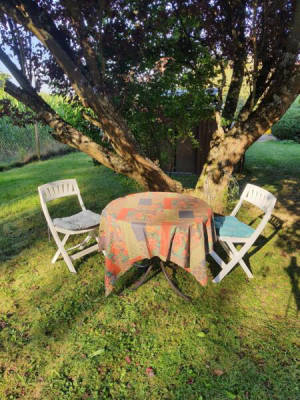 Garden for tent, caravan, van, motorhome, rooftop tent (Campspace 22190)