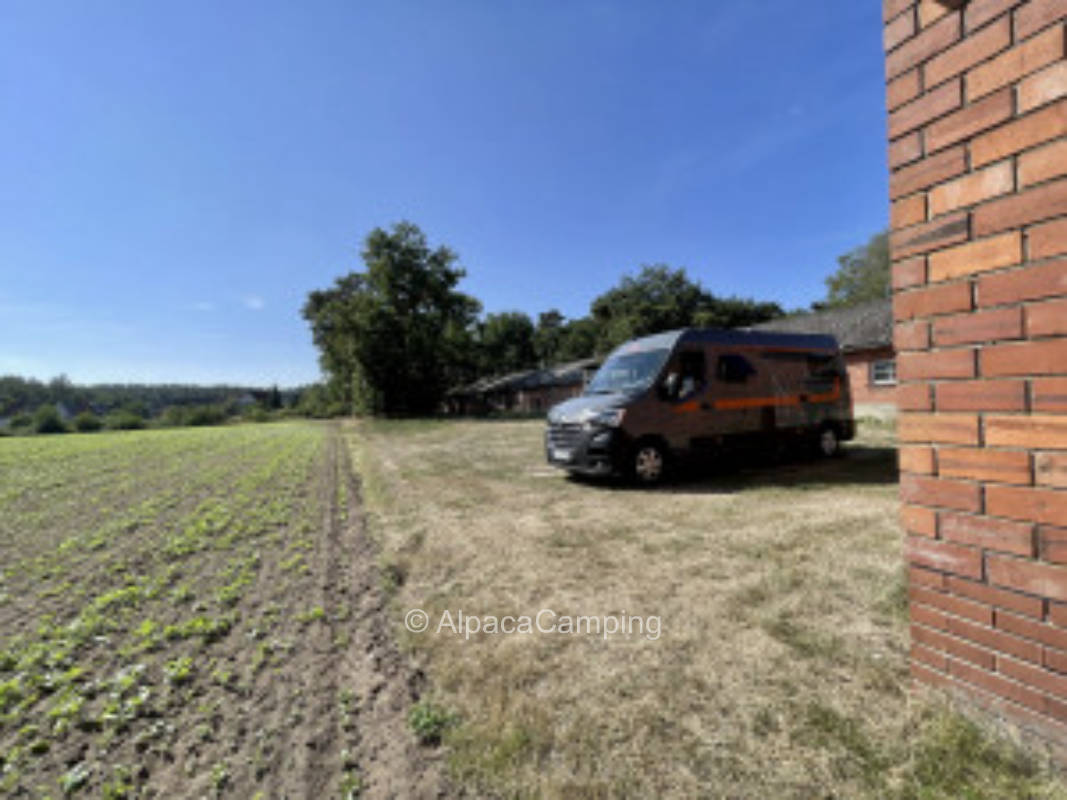 In solitary location in stone field #3