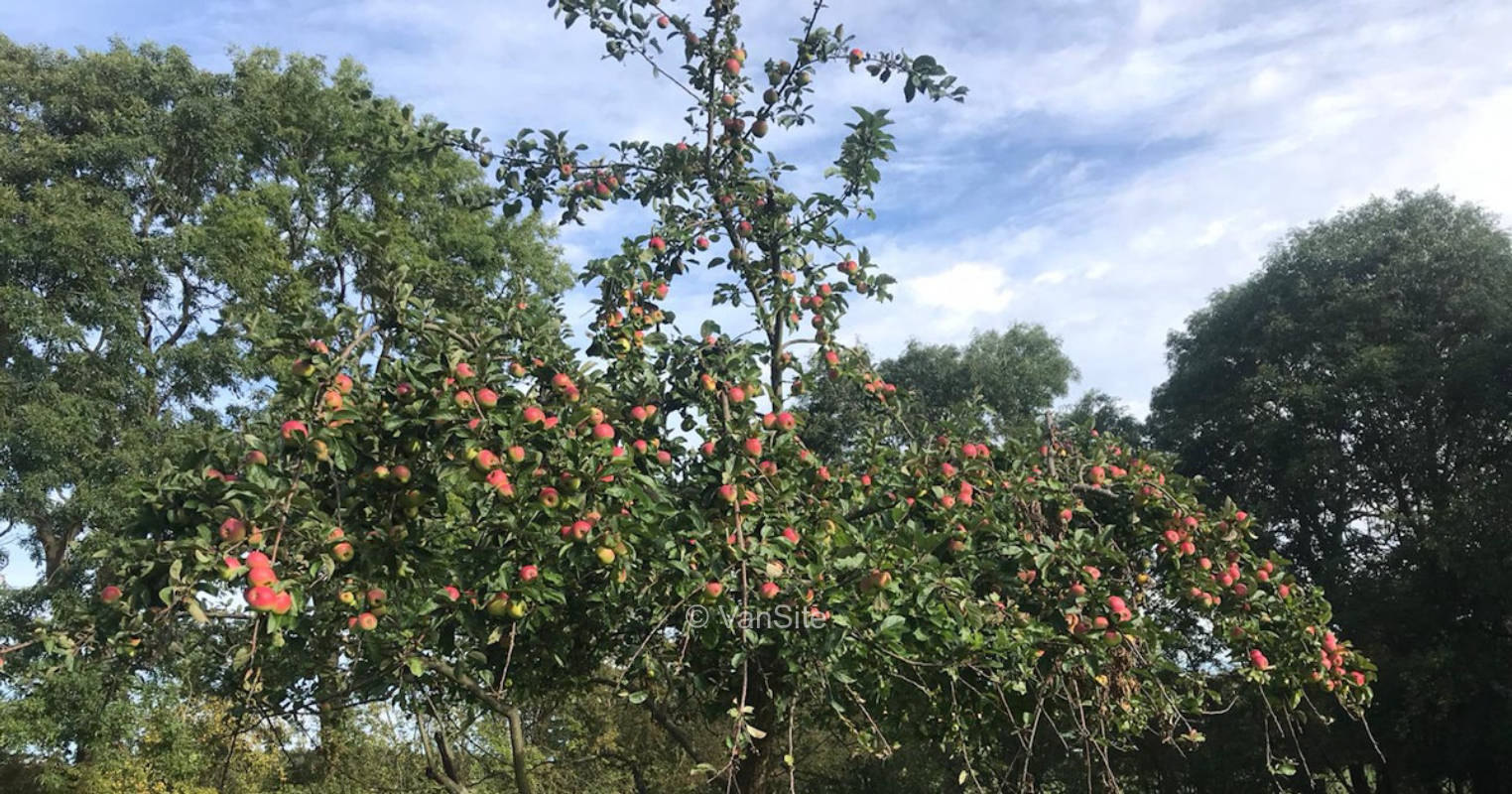 Auf der Apfelweide, privater Stellplatz