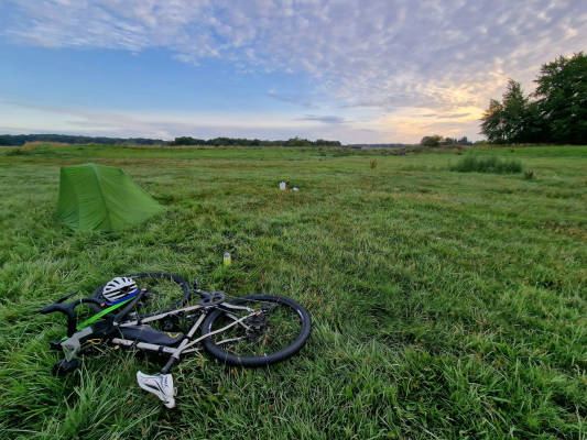Idyllically situated meadow