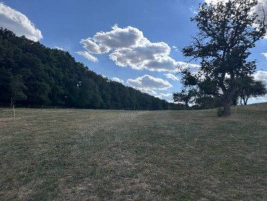 Naturnahe Campingwiese in tierischer Nachbarschaft