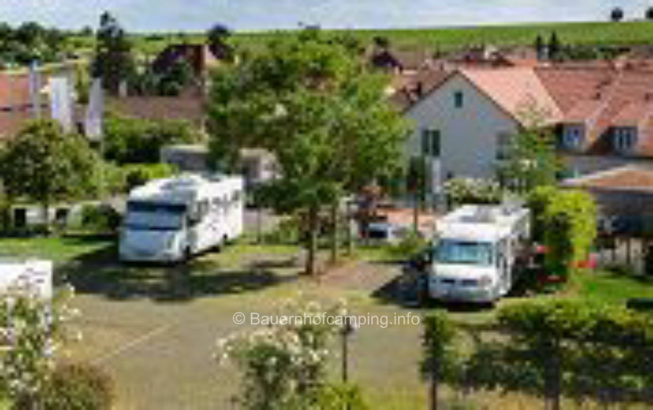 Weingut Helmut Schreieck