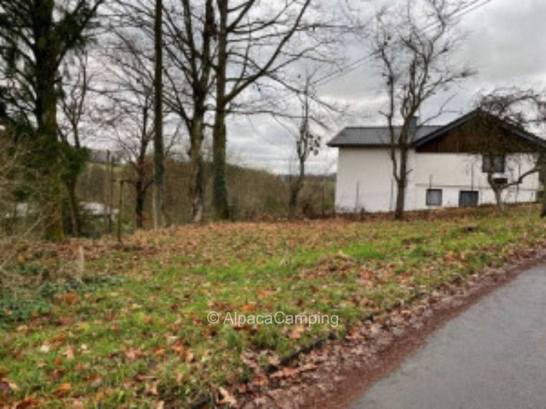 Oberbergischer Charme am Mamutbaum