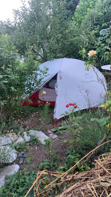 Wo der hahn guten morgen kraht