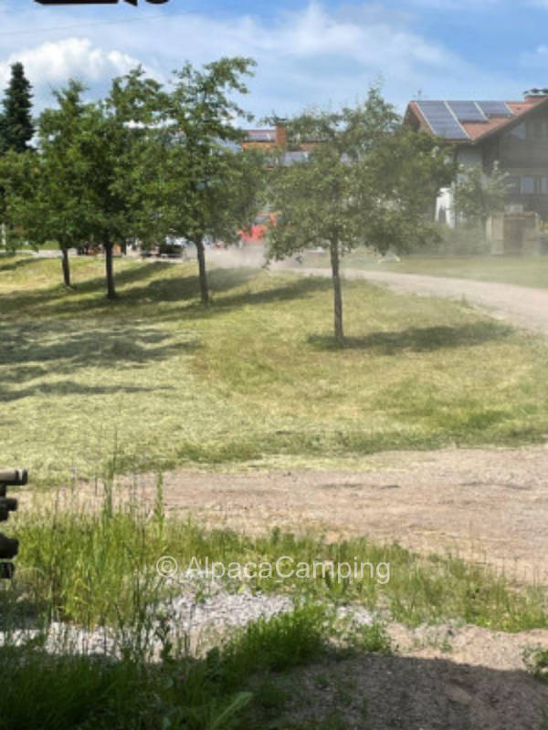 Camping am Wald neben einem Stall