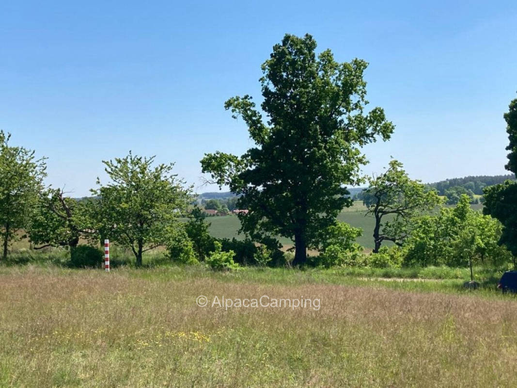 AlpacaCamping 1002, privater Stellplatz
