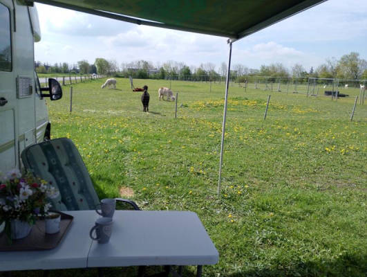 private pitch (Campspace 9636)