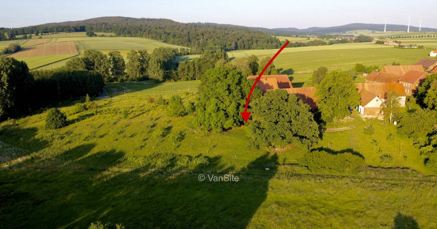 Schattiges Plätzchen unter alten Bäumen (3/3)