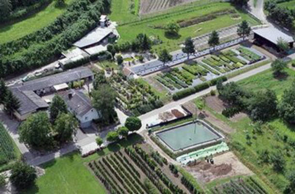 Grüne Wiese mit Blick zu dem Elsass