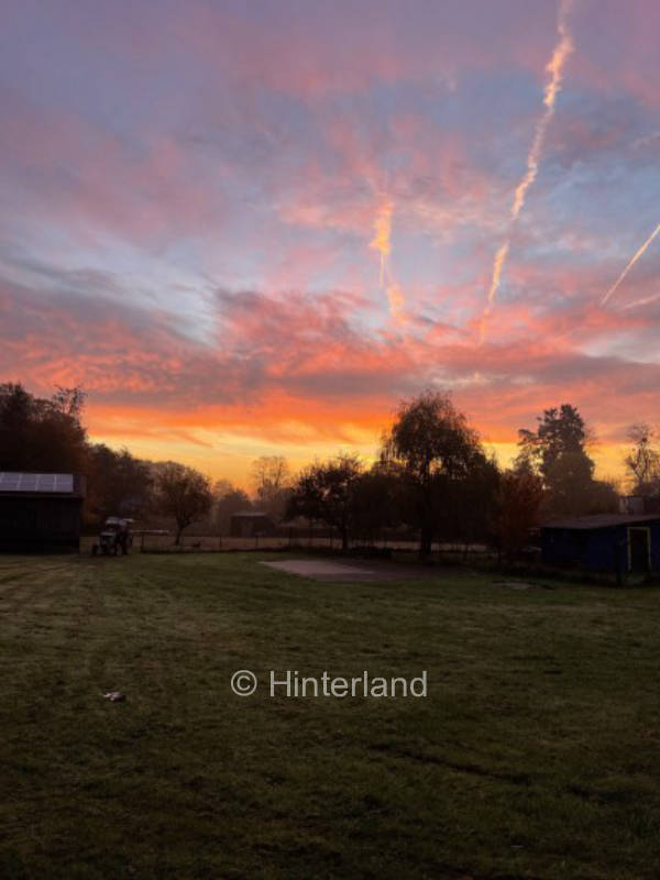 Camping at the foot of the Feldberg - Taunus idyll