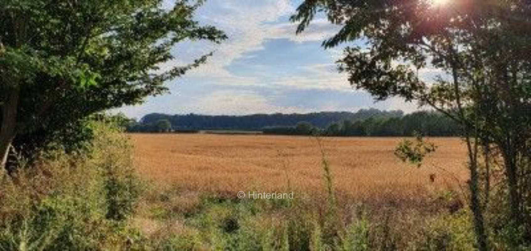 Genieß den Sonnenuntergang am Feldrand- Alleinlage