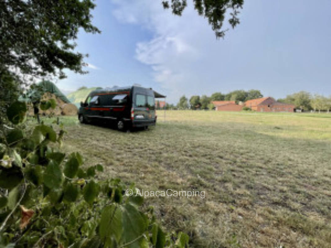 Zum flotten Heinz #3