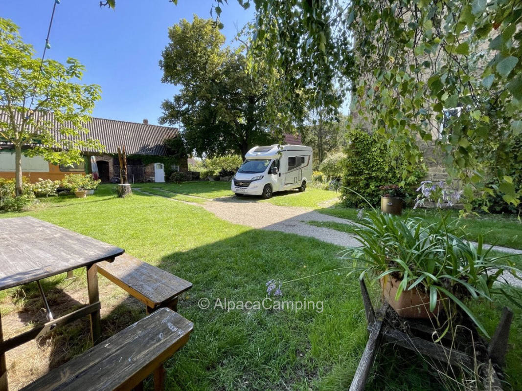 Pitch in the green yard of the winery #1