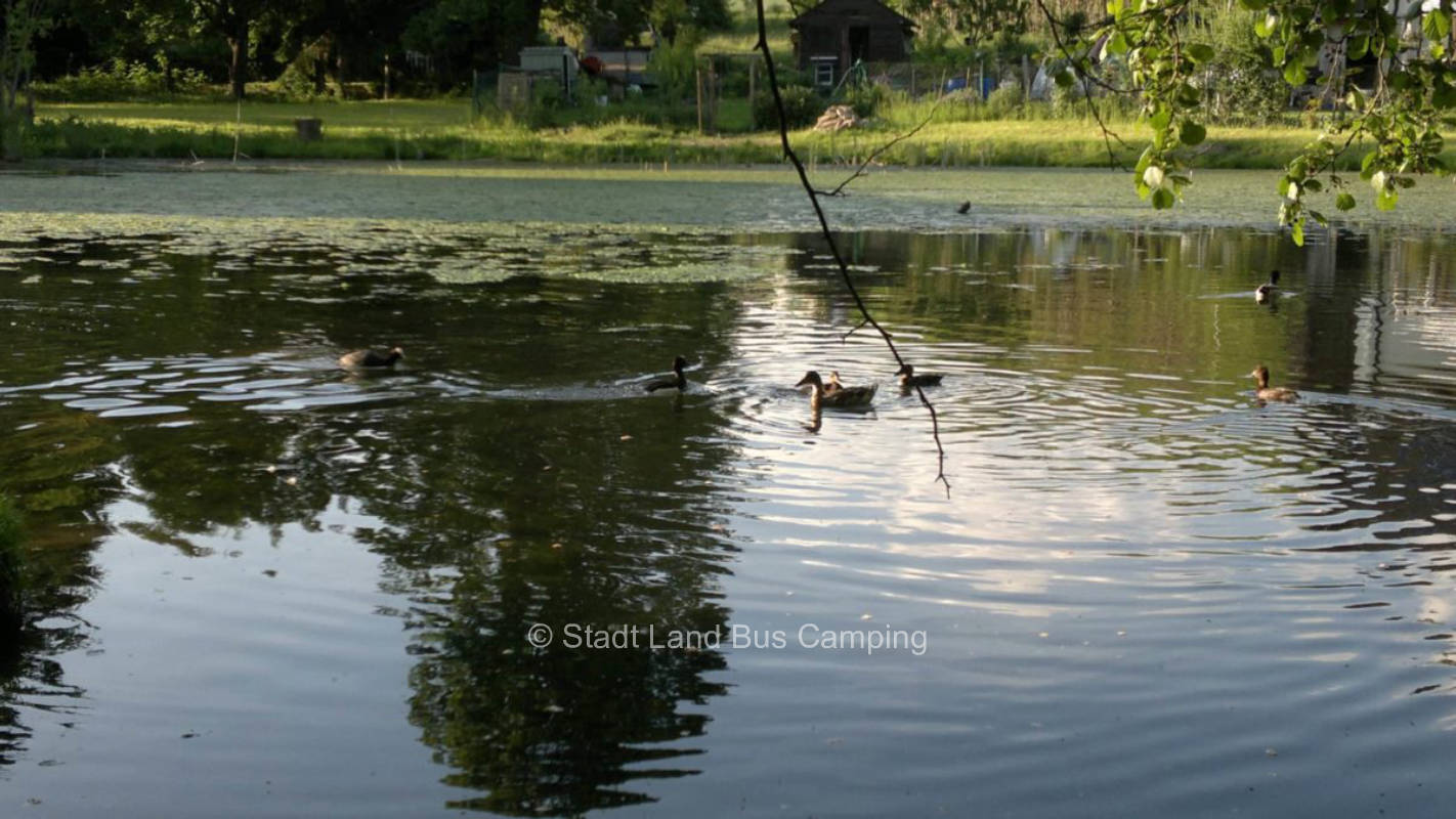 Am Erlenweiher 2