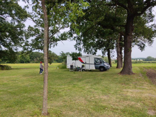 Motorhome pitch under trees (Campspace 5008)