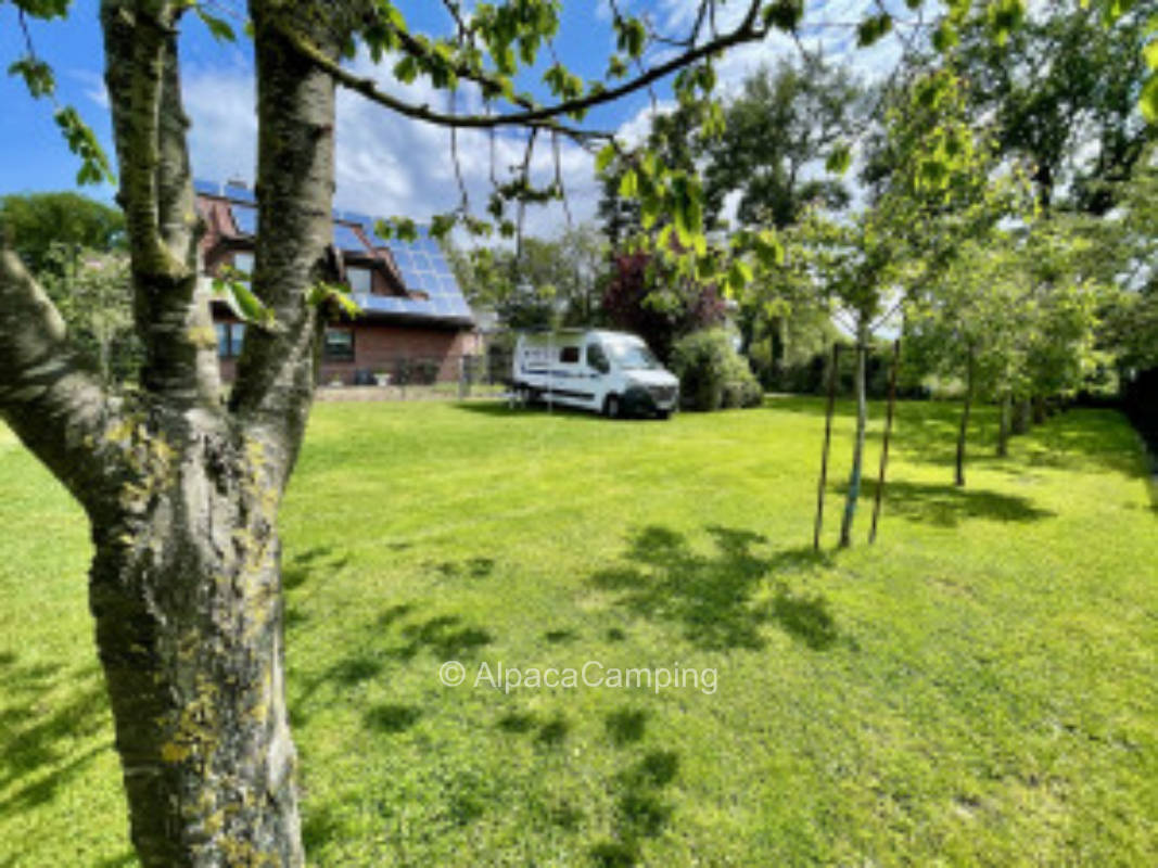 AlpacaCamping 2206