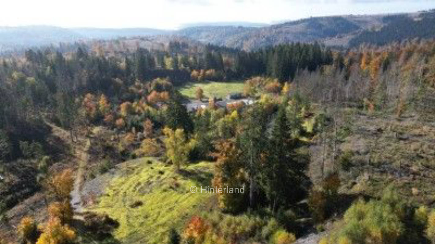 Camping auf dem Fellberg zwischen Schieferhalden