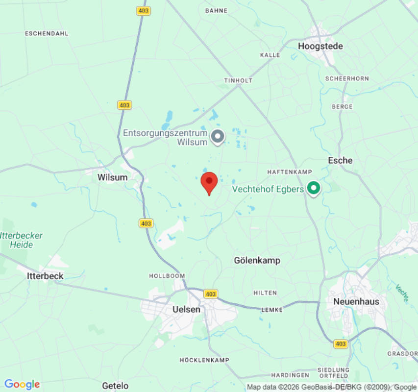 Kleine Weide unter Bäumen. (Campspace 7764)