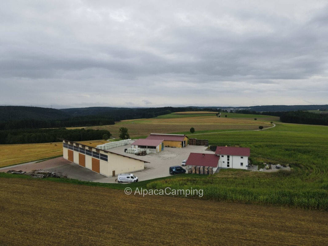 AlpacaCamping 1407
