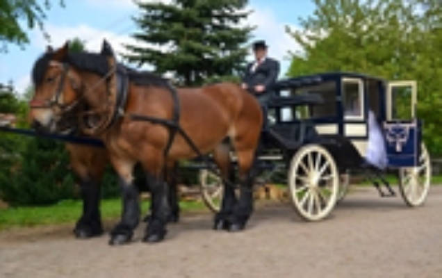 Pilger Equestrian Farm