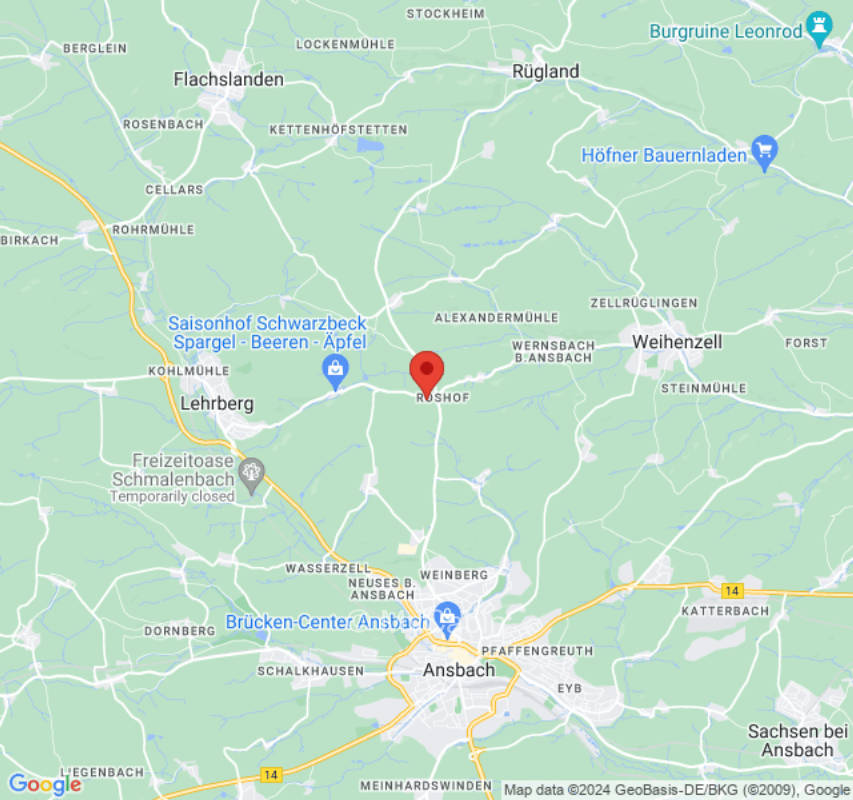 Natur unter den Bäumen