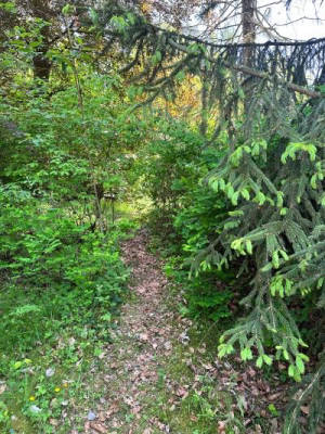 Treat yourselves to a break in the middle of the forest
