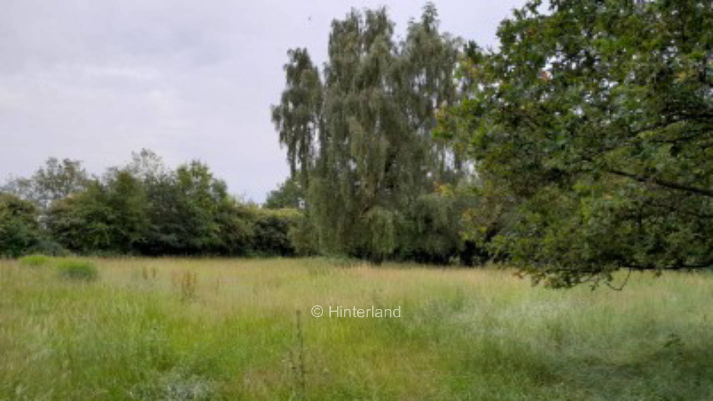 Grüne Wiese an der dänischen Grenze