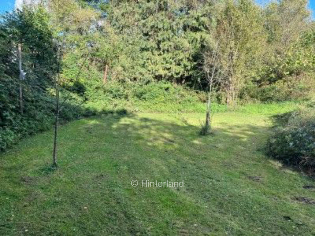 Der Taunus - Innerorts, aber dennoch Natur pur