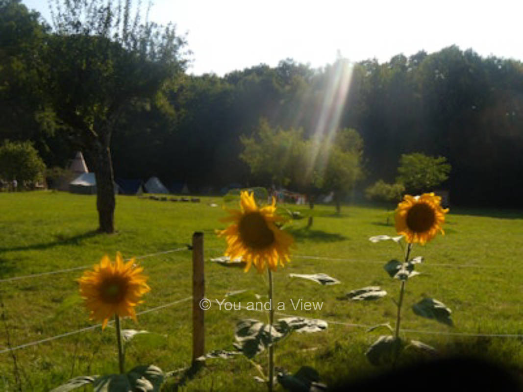 En pleine foret aux pays des contes pour enfants
