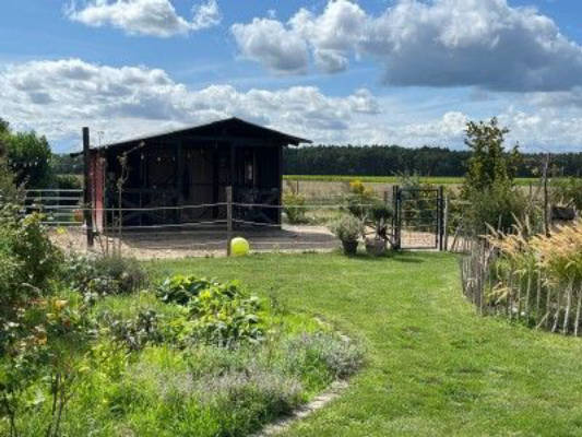 Stellplatz im Grünen am Rande des Krämerwald