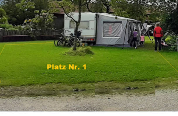 Meadow camping under trees for large campers
