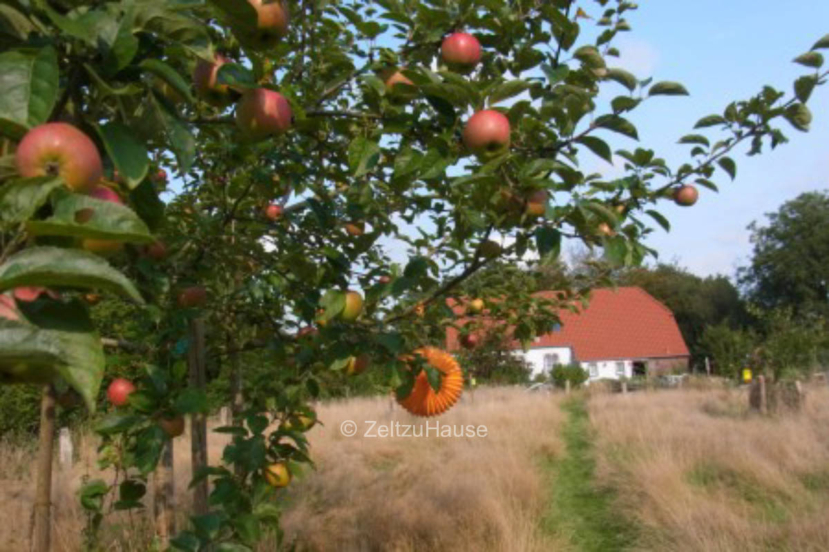 Campen auf der Streuobstwiese in Ostfriesland