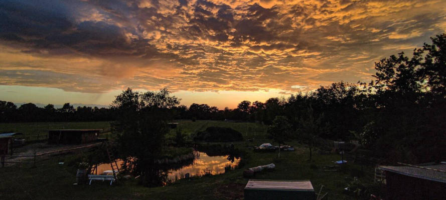 Camping by the Lake (Campspace 30814)