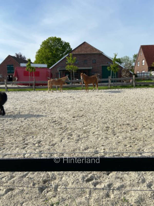 Stellplatz auf einem alten Pferdehof mit Waldblick