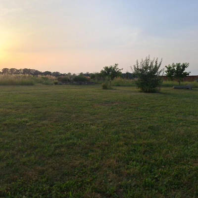 Blick über Wildblumenwiese und Garten (Campspace 10070)
