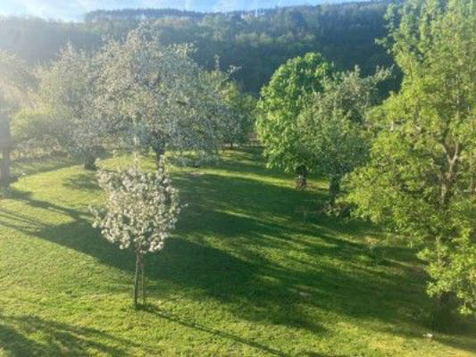 Gartenklause zwischen Himmelreich und Paradeis
