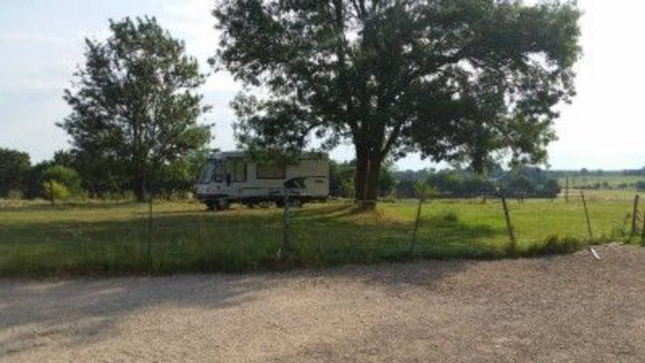 Motorhome parking with horses in the background