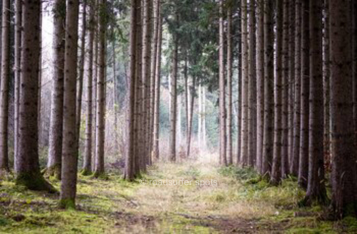 Campingplatz im Naturschutzgebiet