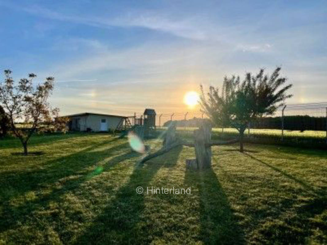 Biohof Camping Südmüritz | Ruhe, Natur & Hofleben