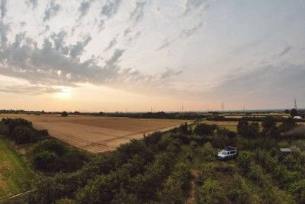 Apple orchard with view of Frankfurt skyline