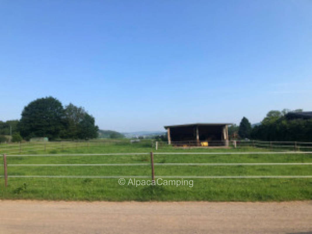 In Lohra on a farm #2