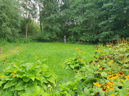 Natural meadow with sauna facility