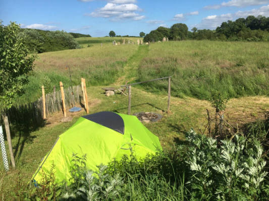 Tent site on the meadow (Campspace 2856)