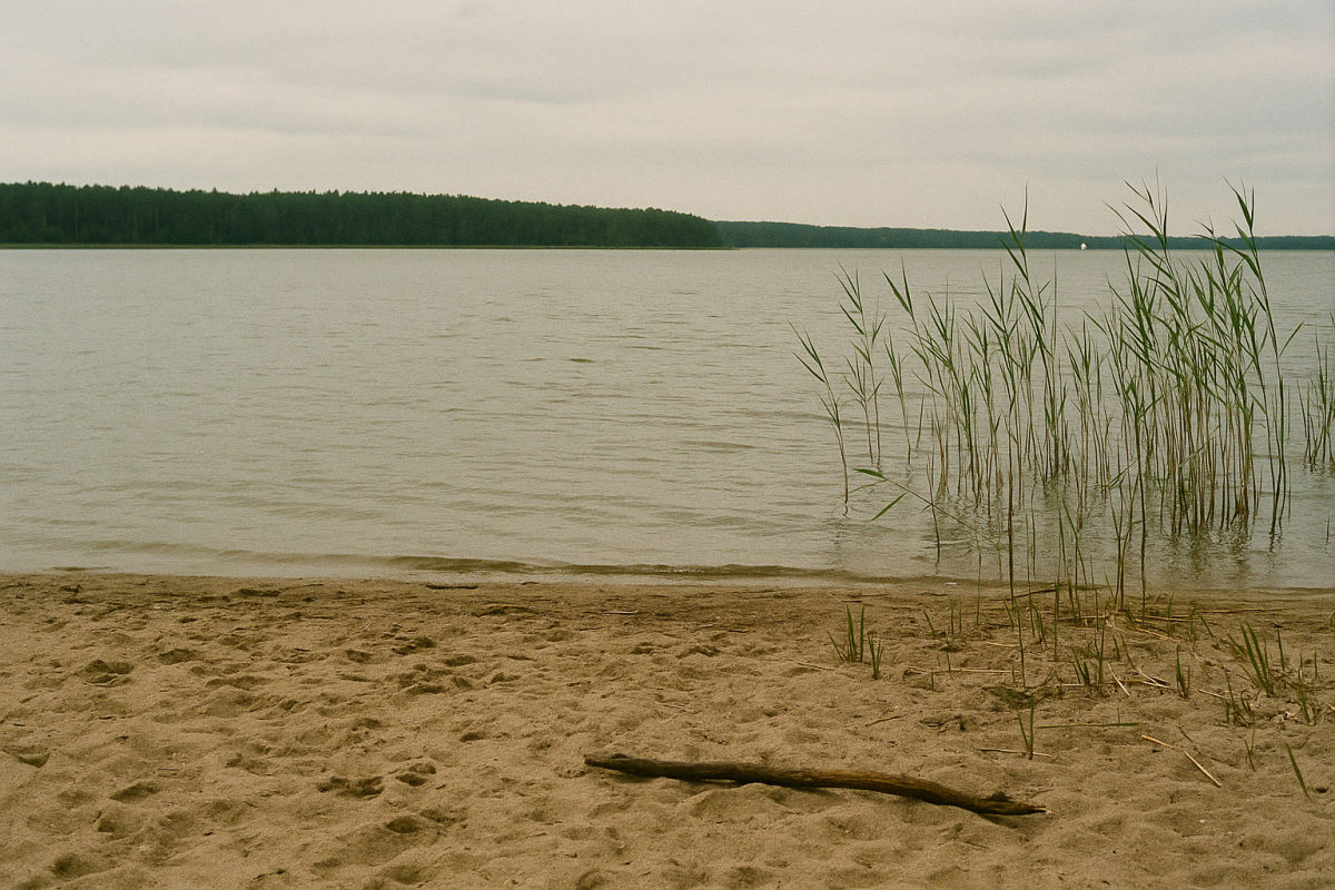 Der Scharmützelsee – KI-generiertes Symbolbild