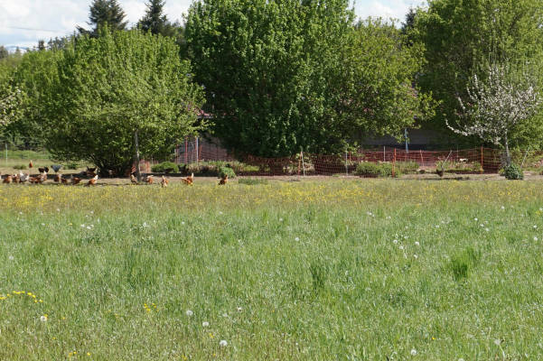 Nice spot next to organic farm