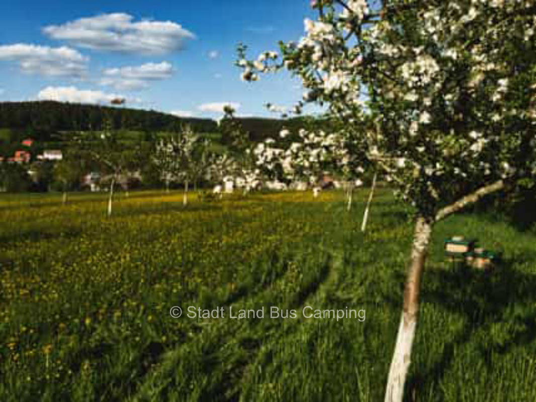 Stellplatz am Saftladen -Zwei