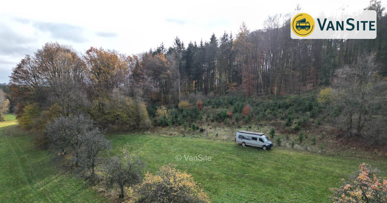 Wald und Wiese am Katzenbuckel