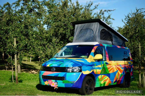 Bauernhofcamping unter Apfelbäumen, Bodensee