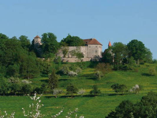 Die Tannenburg