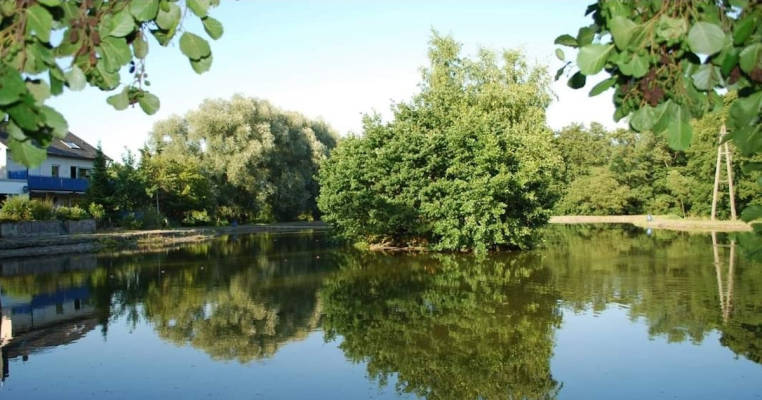 Lake place